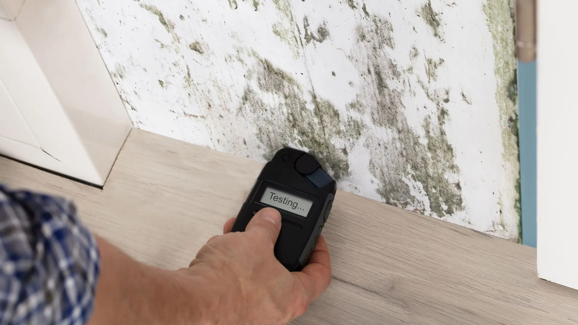 Cómo quitar la humedad antes de pintar la pared