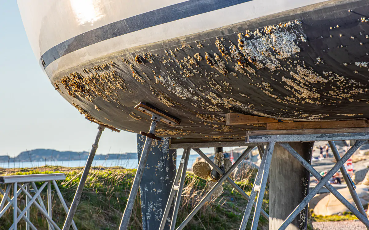 La Ciencia Detrás de los Productos Antifouling: Cómo Funcionan